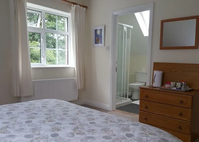 Nephin Bed & Breakfast